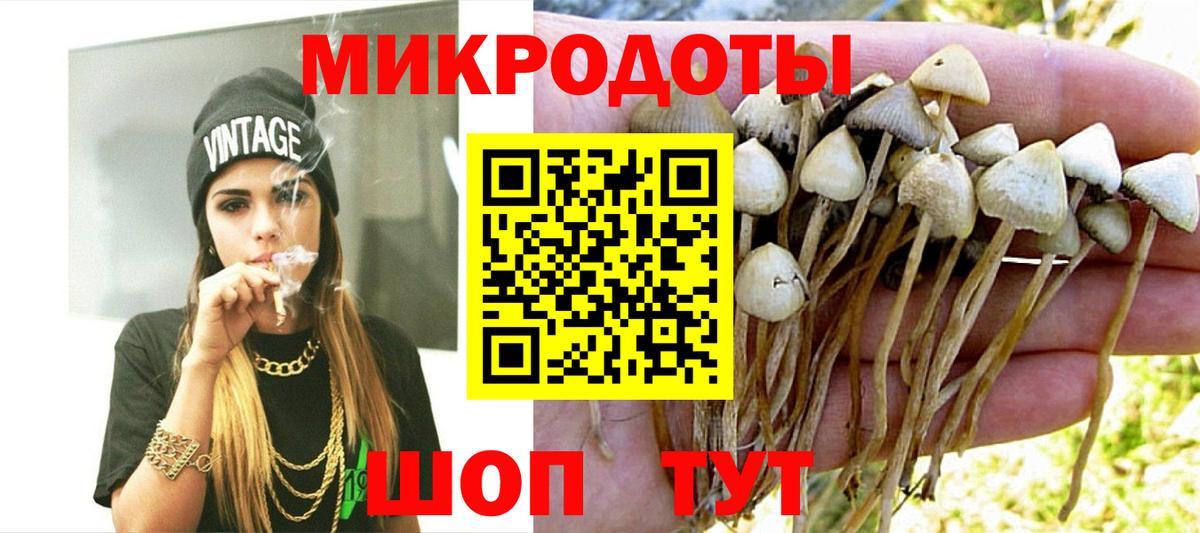 Муравленко  Галлюциногенные грибы Cubensis  купить  сайты  Вход с VPN 